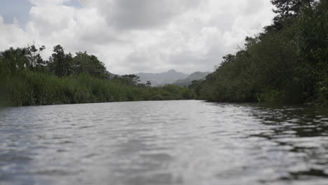 Slow-motion-low-angle-shot-of-the-Puerto-Rican-mountain-valley-with-a-river