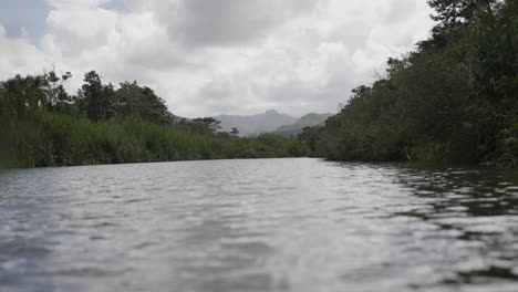 fotografía en cámara lenta de bajo ángulo del valle montañoso puertorriqueño con un río