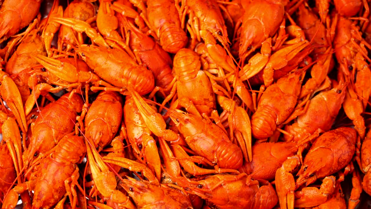 imágenes de cangrejo rojo cocido en primer plano girar en una bandeja