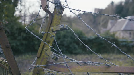 Old-barbed-wire-fence