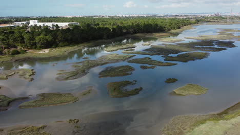 volando sobre pantanos hacia pequeños islotes en un día soleado en seixal, portugal