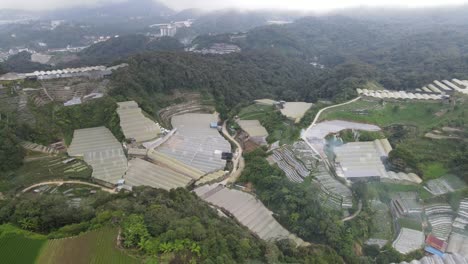 general landscape view of the brinchang district within the cameron highlands area of malaysia