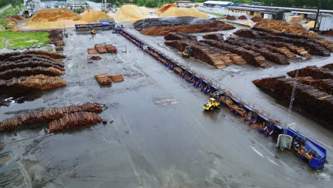 los troncos de madera están siendo almacenados en pilas por maquinaria en el patio