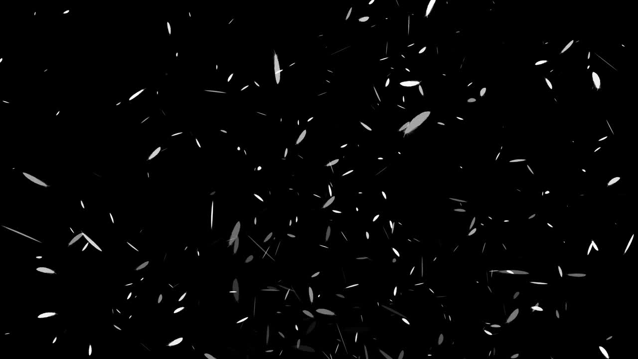 White feathers soaring particles motion graphics