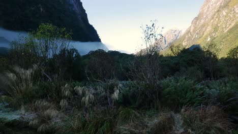 Schwenk-über-Ein-Idyllisches-Tal-Mit-Pflanzenarten-Und-Nebel,-Der-Zwischen-Massiven-Bergen-Schwebt