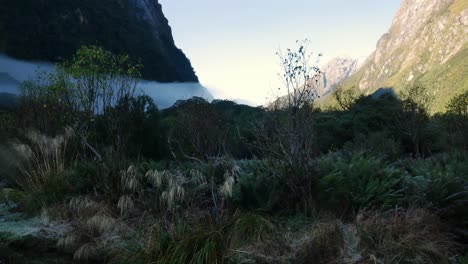 toma panorámica del idílico valle con plantas de especies y niebla flotando entre enormes montañas