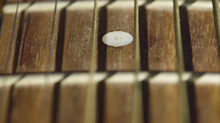 Scatto macro in primissimo piano di corde di chitarra acustica con un movimento di messa a fuoco selettiva lungo la tastiera in legno. Ideale per documentari musicali e montaggi artistici.