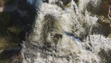 cascada en owen sound, canadá capturada desde arriba a la luz del día