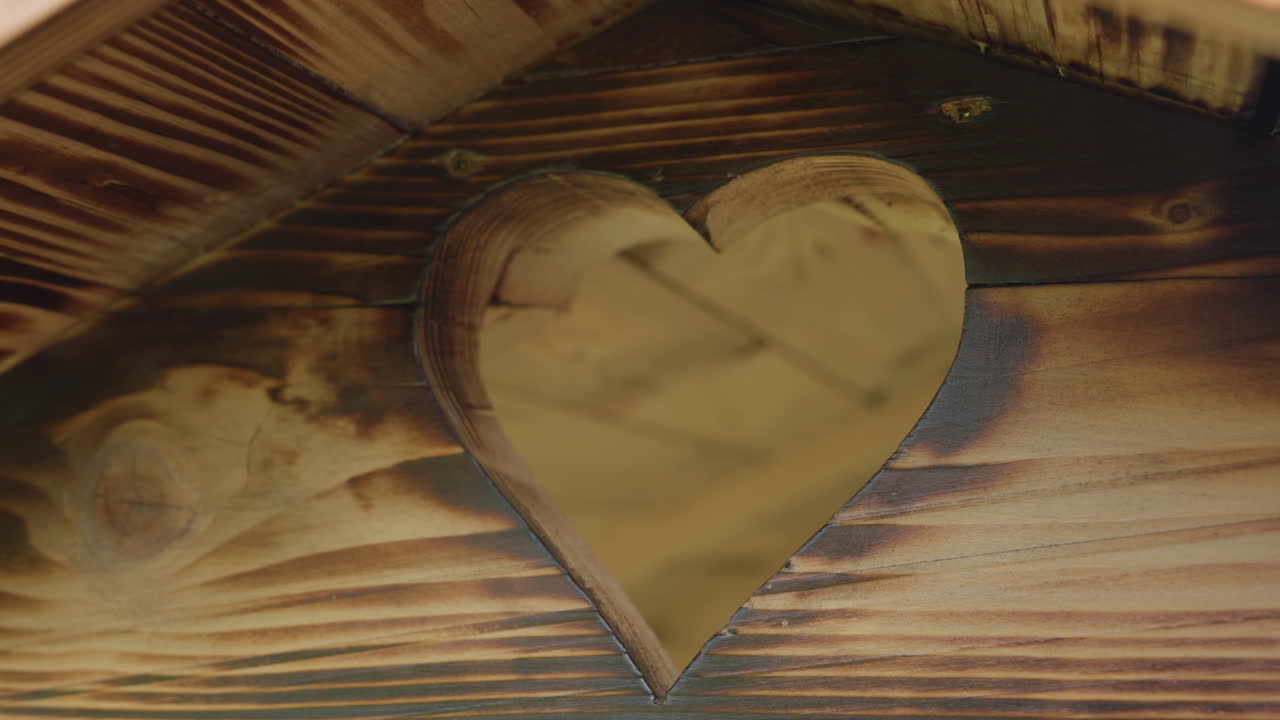 Heart shaped cutout detail on wooden structure wall with warm brown grain, shallow depth of field highlighting shape while small blurred insect flies across soft lit natural wooden texture background