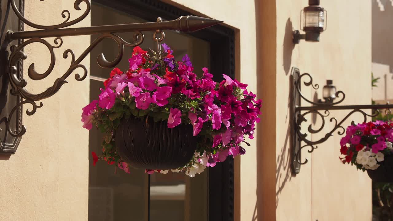 Flower Hanging Baskets on Building Facade