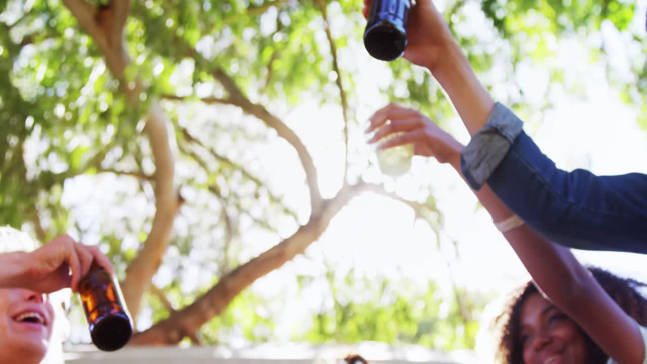 amigos brindando una cerveza en el parque 4k