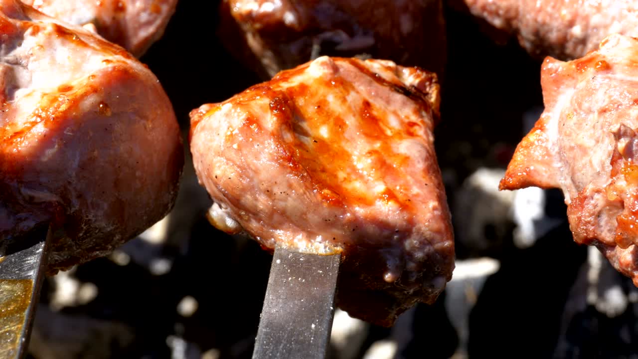 야생에서 그릴에 요리 된 shish kebab. 거리 음식. 개에 긴 고기