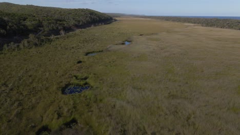 Volando-Sobre-Un-Pantano-De-Dieciocho-Millas-Junto-Al-Bosque-Verde-En-El-Parque-Nacional-Del-Lago-Azul---Humedal-Y-Playa-En-La-Isla-De-North-Stradbroke,-Queensland,-Australia