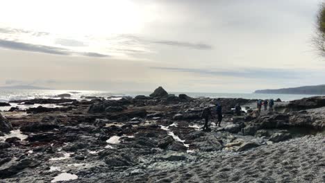 Group-of-people-following-Juan-de-Luca-Marine-Trail-in-rugged-shore-near-the-sea-ay-daytime,-Sombrio-Beach,-British-Columbia,-Canada