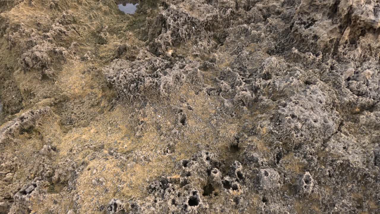 파도 와 조류 수영장 이 있는 바위 가 있는 해안