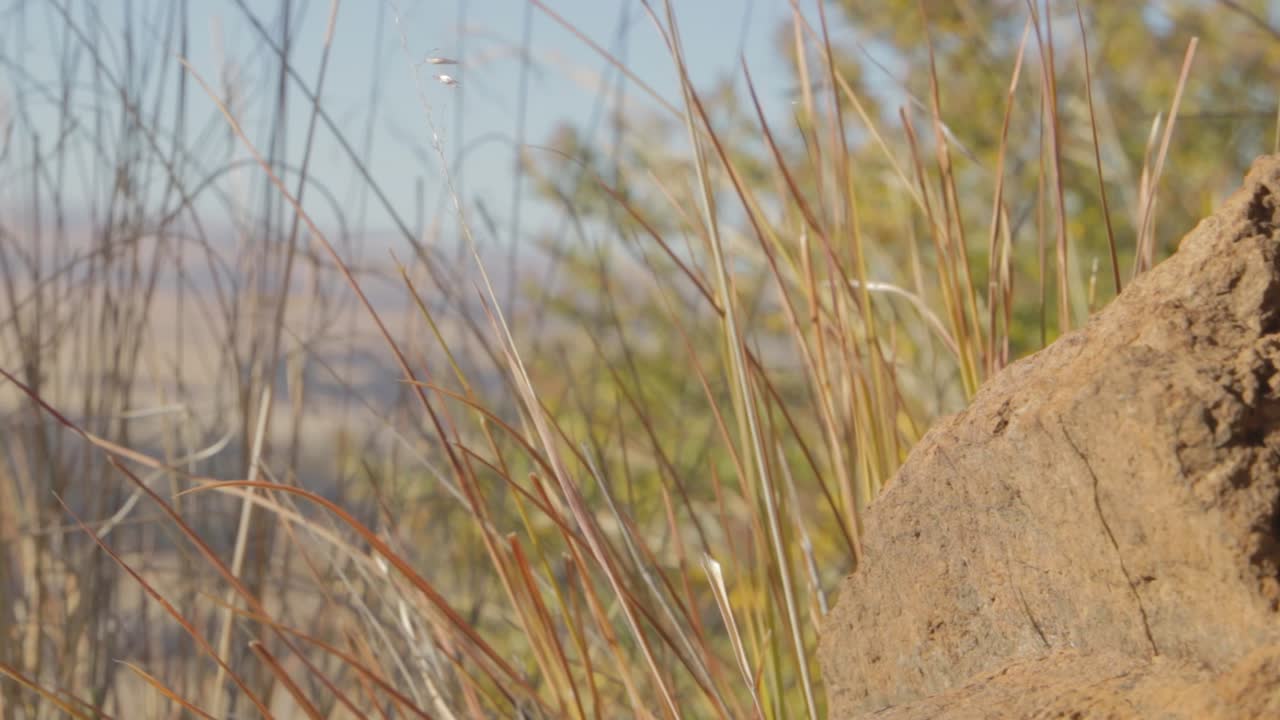 하이킹하는 동안 바위에 손을 얹은 남자