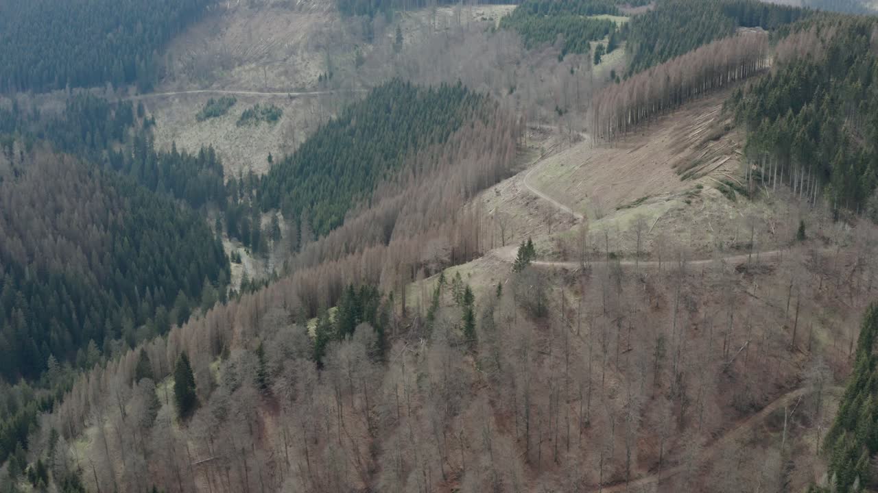 vistas aéreas de drones del parque nacional de harz en alemania central