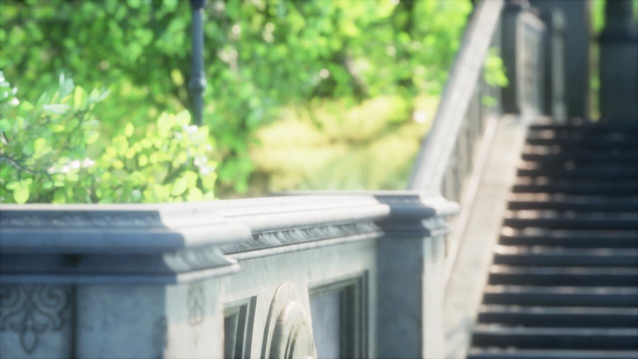 도시 에 있는 평화로운 공원