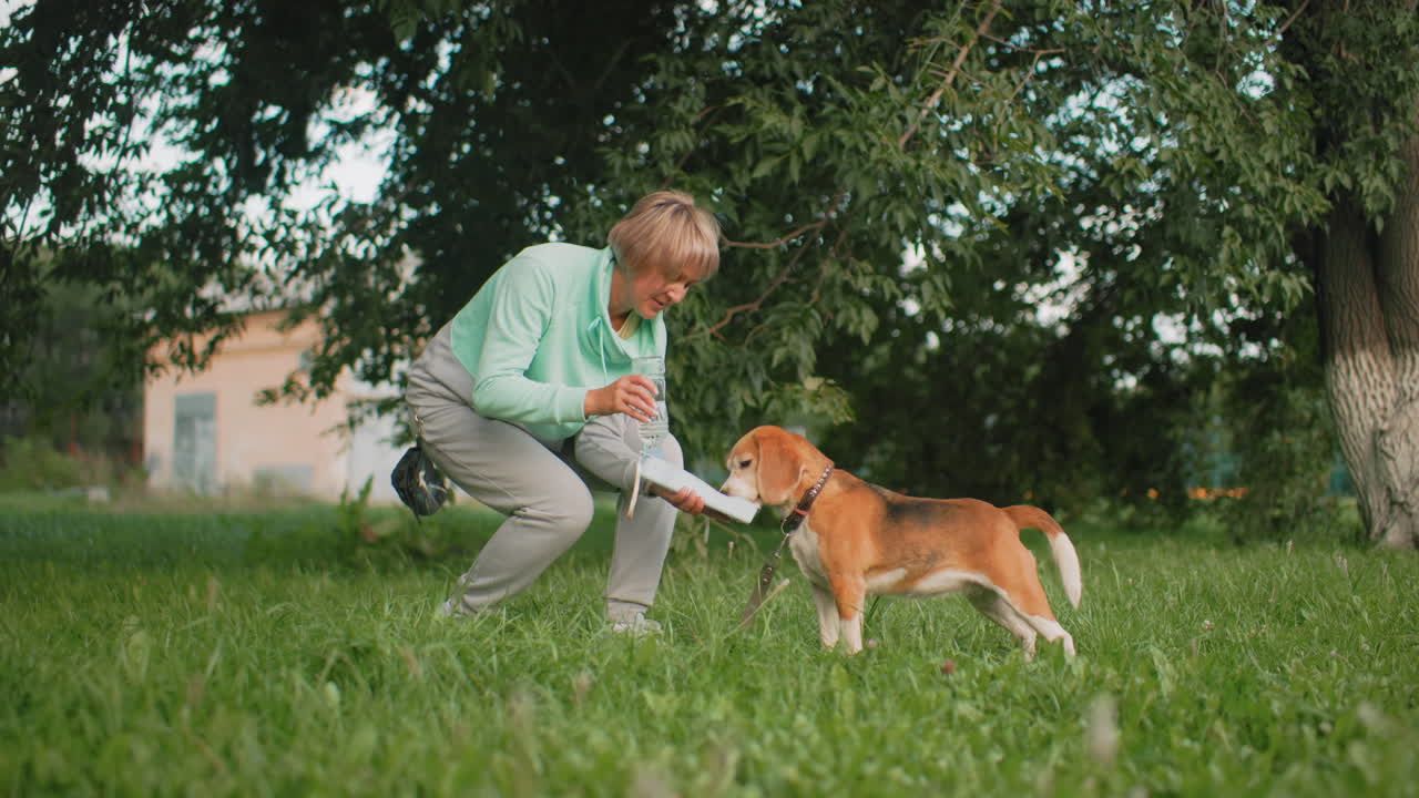 Canine specialist maintaining good hygiene while feeding energetic puppy from neat clean container outdoors in lush green park happy sunny day demonstrating care attention love bonding