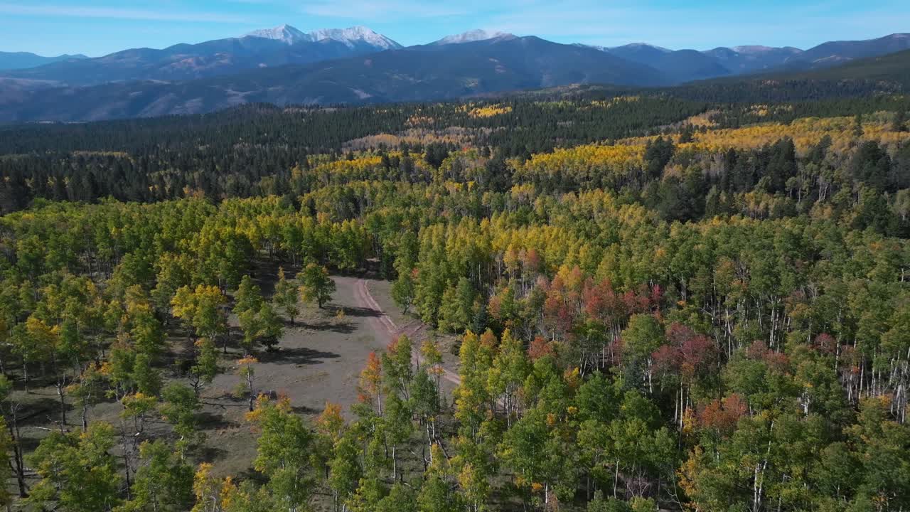 Salida Mt Mount Shavano Tabeguache Peak Colorado trail camp ground autumn fall morning blue sky aerial drone Colorado aerial drone Aspen Trees forest yellow orange AWD dirt road forward pan up