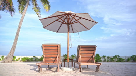 empty beach deckchairs under umbrella against blue sky next to tropical palm