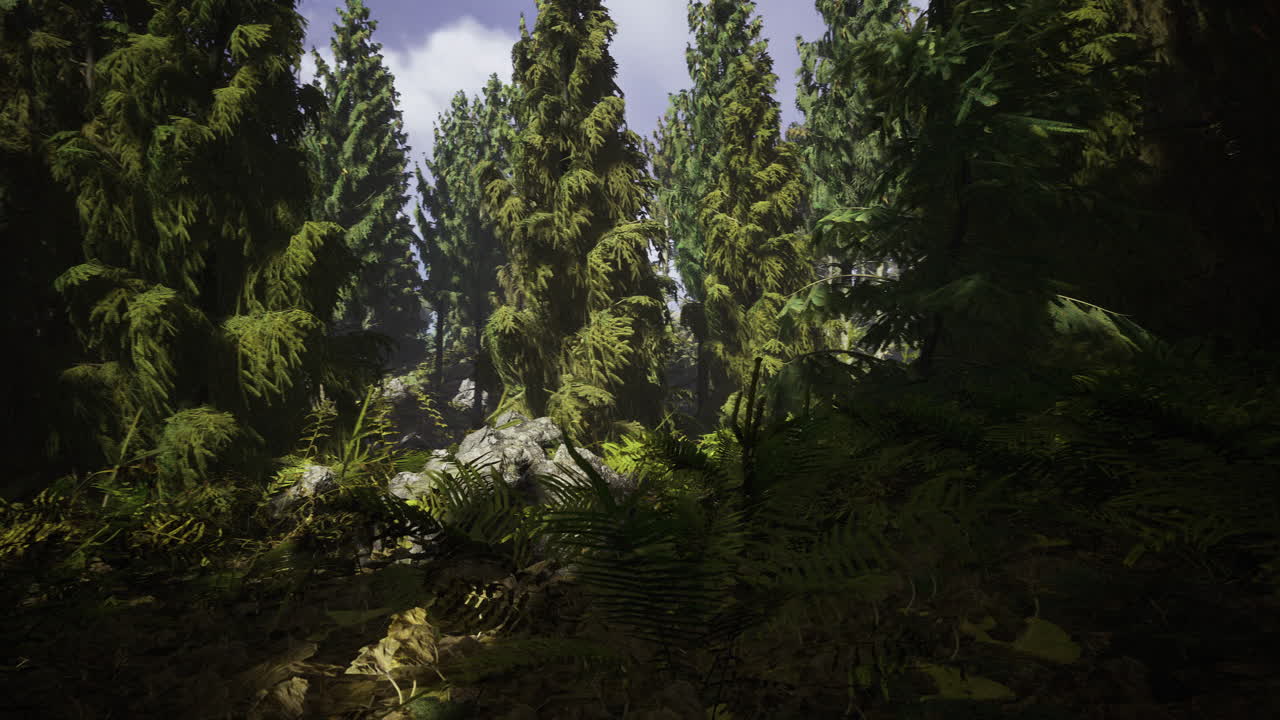 A vibrant forest filled with tall trees and dense foliage