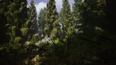 a vibrant forest filled with tall trees and dense foliage