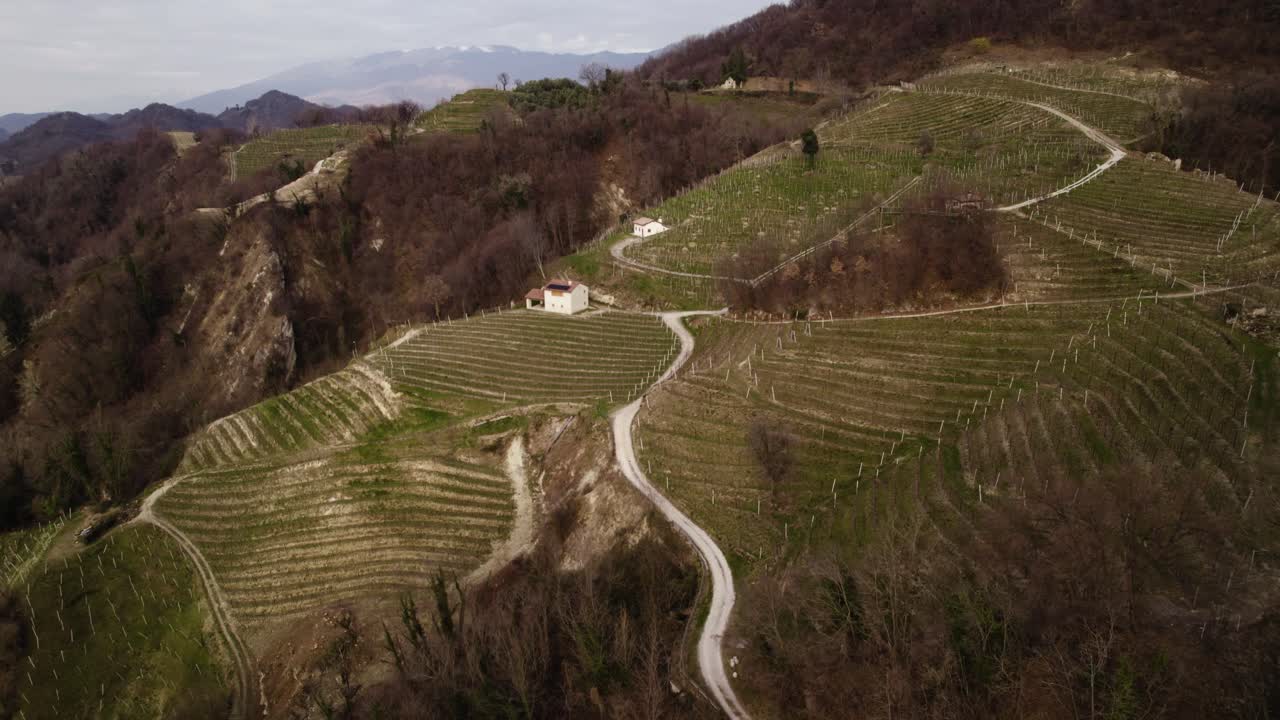 Vista aerea panoramica dei filari di vigneti nelle colline del Prosecco, Italia, in una giornata invernale.