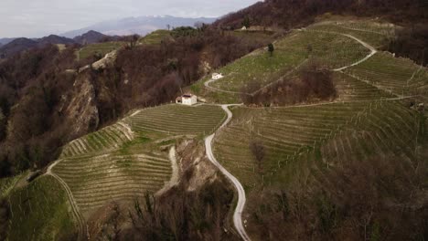 Aerial-panoramic-view-of-vineyard-rows-in-the-prosecco-hills,-Italy,-on-a-winter-day