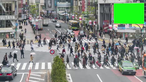 시부야 교차로에서 그린 스크린 타임 스