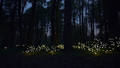 glowing forest at night