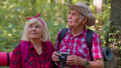 senior old grandmother grandfather tourists walking with backpacks taking photos with camera in wood