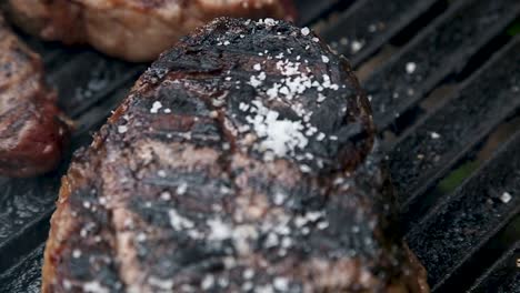 beek steak on grill