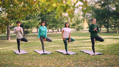 women practicing yoga in a park