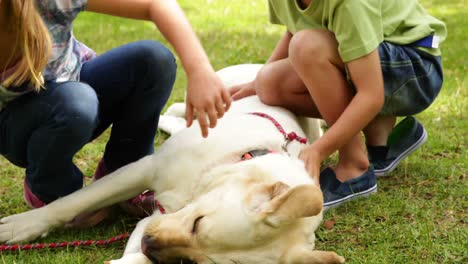 brother and sister rubbing their dog