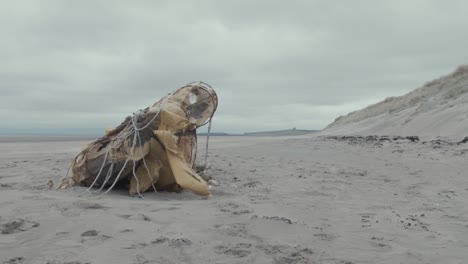 cuban refugee boat washed up on shoreline