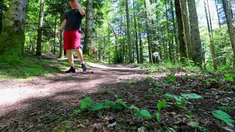 man with a hat and sunglasses walks through the woods and towards the camera, static low angle