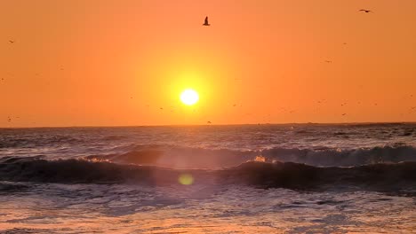 Puesta-De-Sol-Dorada-Sobre-Las-Olas-Del-Océano-Con-Una-Bandada-De-Pájaros-Sobre-El-Océano-Pacífico