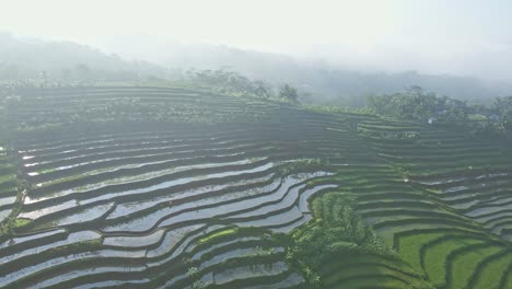 Impresionante-Vista-Del-Campo-De-Arroz-En-Terrazas-En-La-Mañana-Brumosa