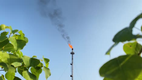 concepto de naturaleza e industria, contraste de plantas de gas y hojas, cielo despejado, día