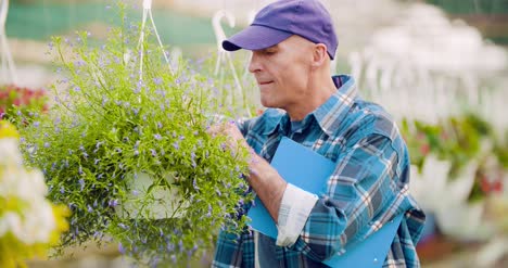 Landwirtschaft-überzeugter-Männlicher-Gärtner,-Der-Topfblumenpflanze-Untersucht-3