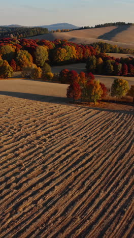 autumnal landscape with colorful foliage