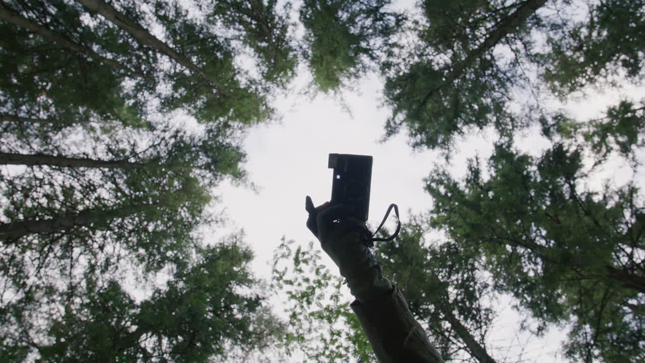 Upward view of green tree canopy forming a circular sky frame interrupted by gloved hand holding vintage camera, with flash snapping out