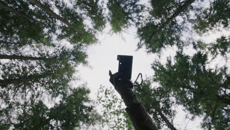 upward view of green tree canopy forming a circular sky frame interrupted by gloved hand holding vintage camera, with flash snapping out