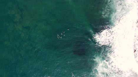 vista de pájaro aérea de drones de un grupo de surfistas esperando en arrecife romper costa central surf nsw australia 4k