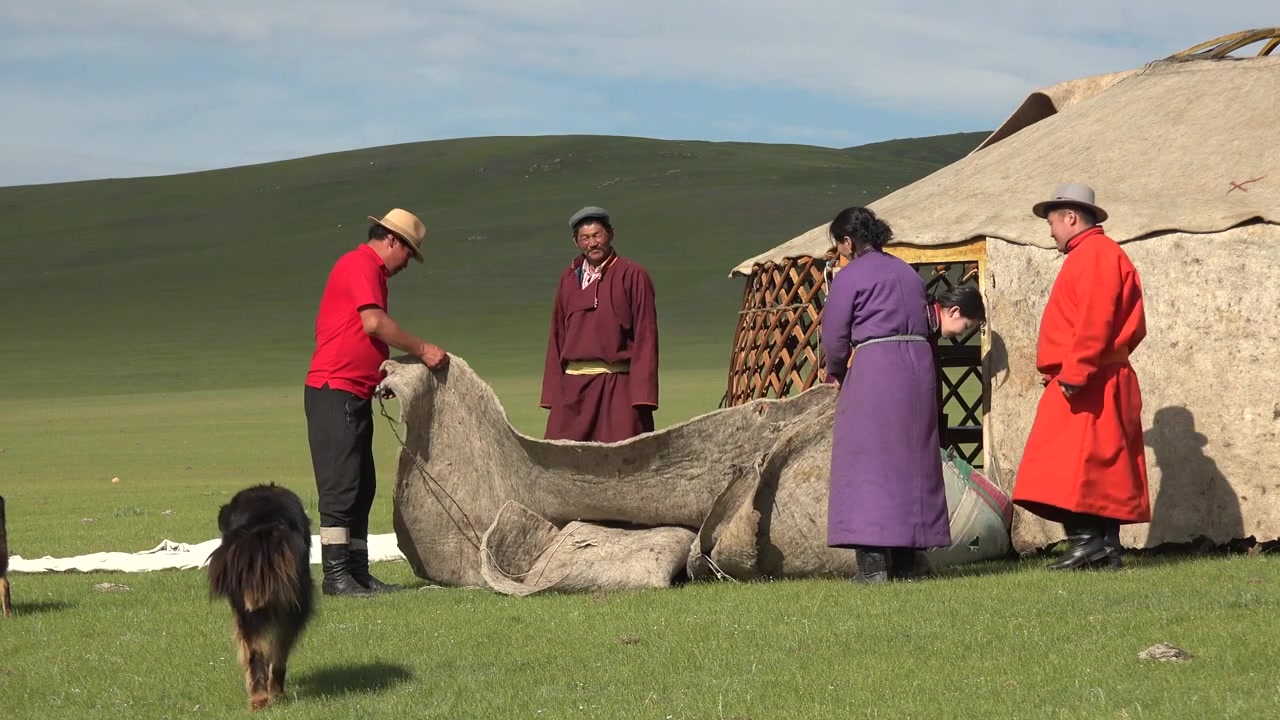 Mongolsk familie arbejder sammen om at opsætte et traditionelt Ger-telt