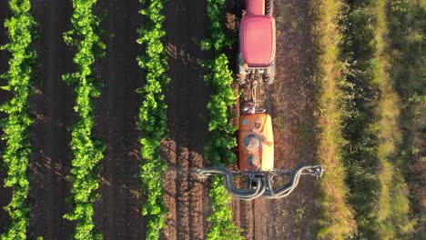 Tractor-De-Seguimiento-Aéreo-De-Arriba-Hacia-Abajo-Rociando-Pesticidas-Tóxicos-A-Viñedos-Franceses,-Uvas-Y-Enfermedad-De-Parkinson-De-Productos-Químicos-Agrícolas-Industriales