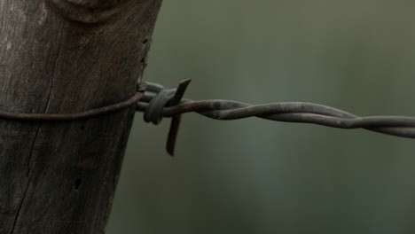 Barbwire-fence-in-a-ranch-in-the-woods-in-the-day