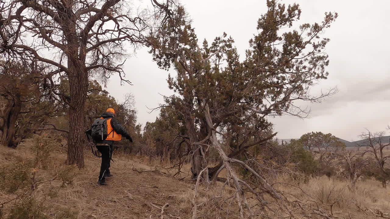 사냥꾼은 사슴을 찾기 위해 라이플을 들고 산비탈을 따라 걷습니다.