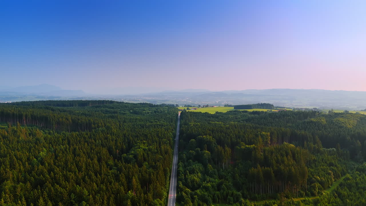 Flying high over the long straight highway crossing the huge forest. Wilderness on sunny day. Hazy view of the countryside at backdrop